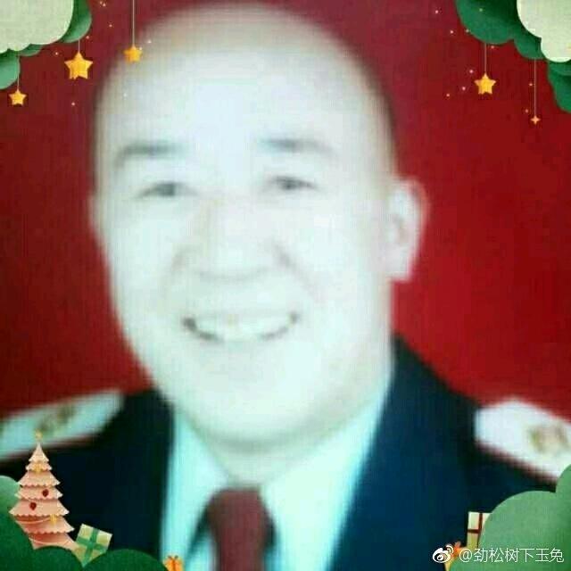 铁军统帅（兔子543）