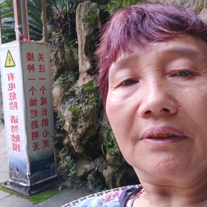 杨七孃