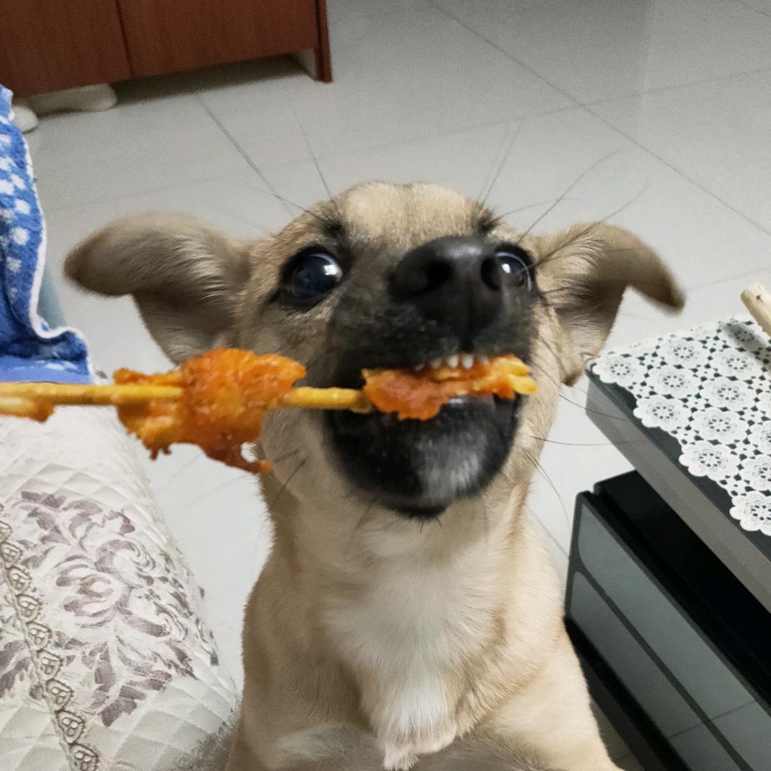 Say咕白