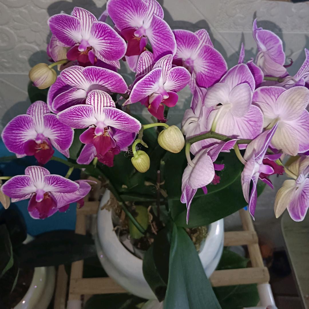 改变自己😘😘😘😘