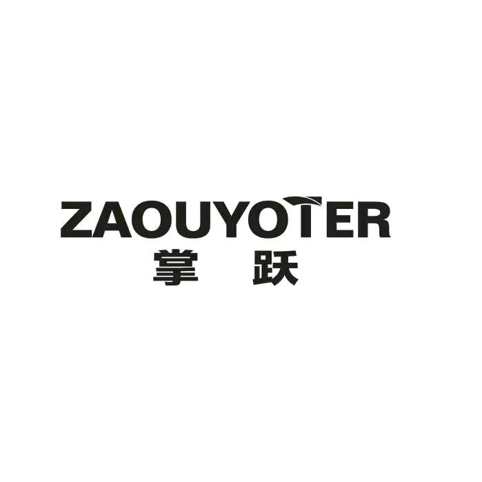 掌跃智能设备企业店