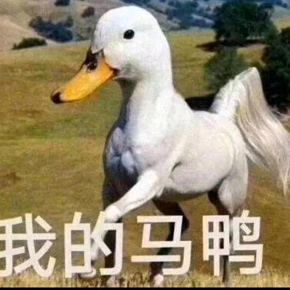 随风而过