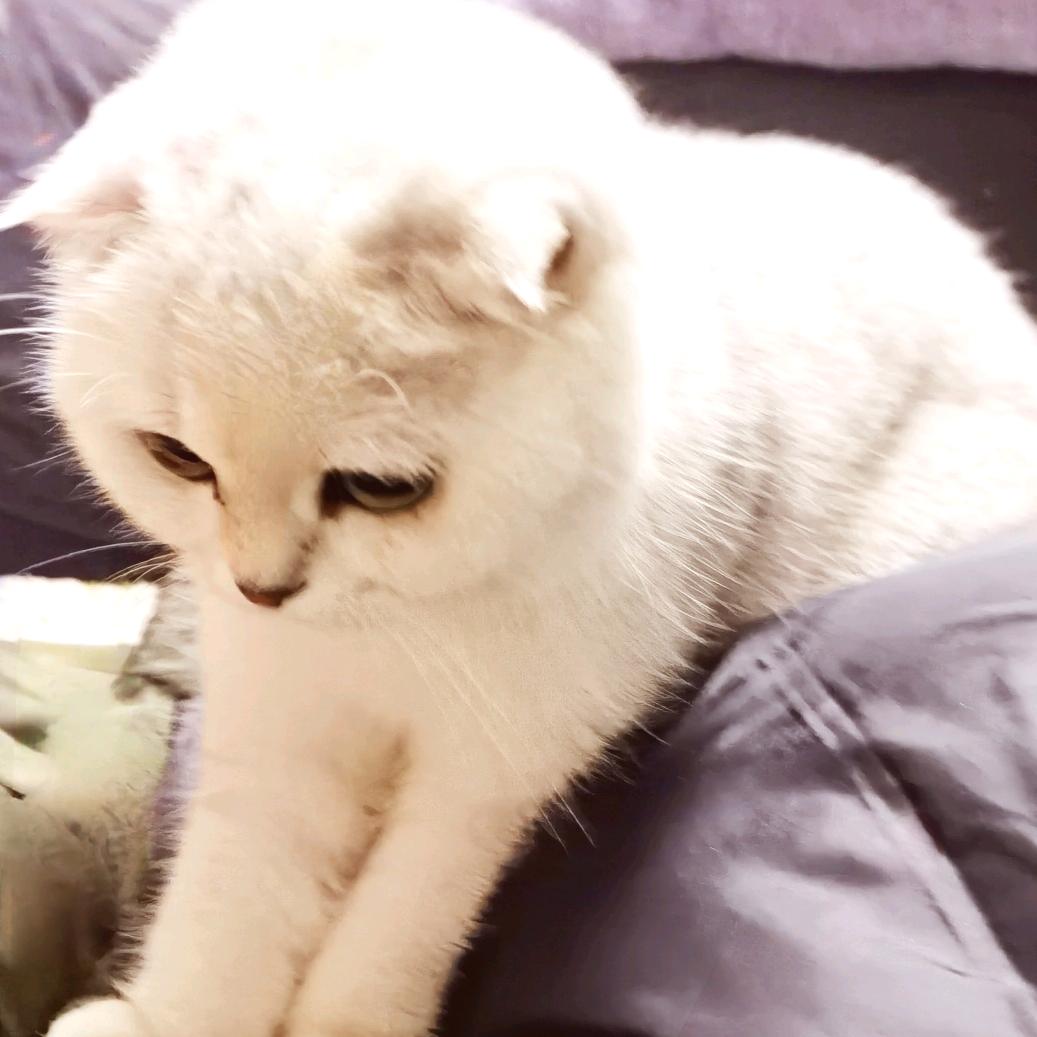 奥利给🔮🔮🔮