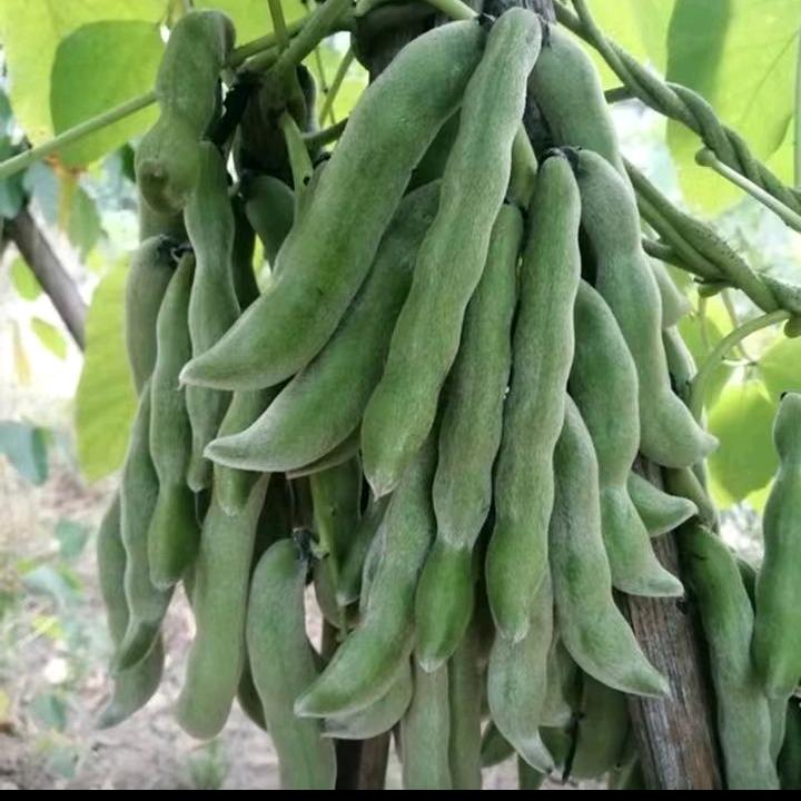 不求大富大贵，只求家人平安健康。