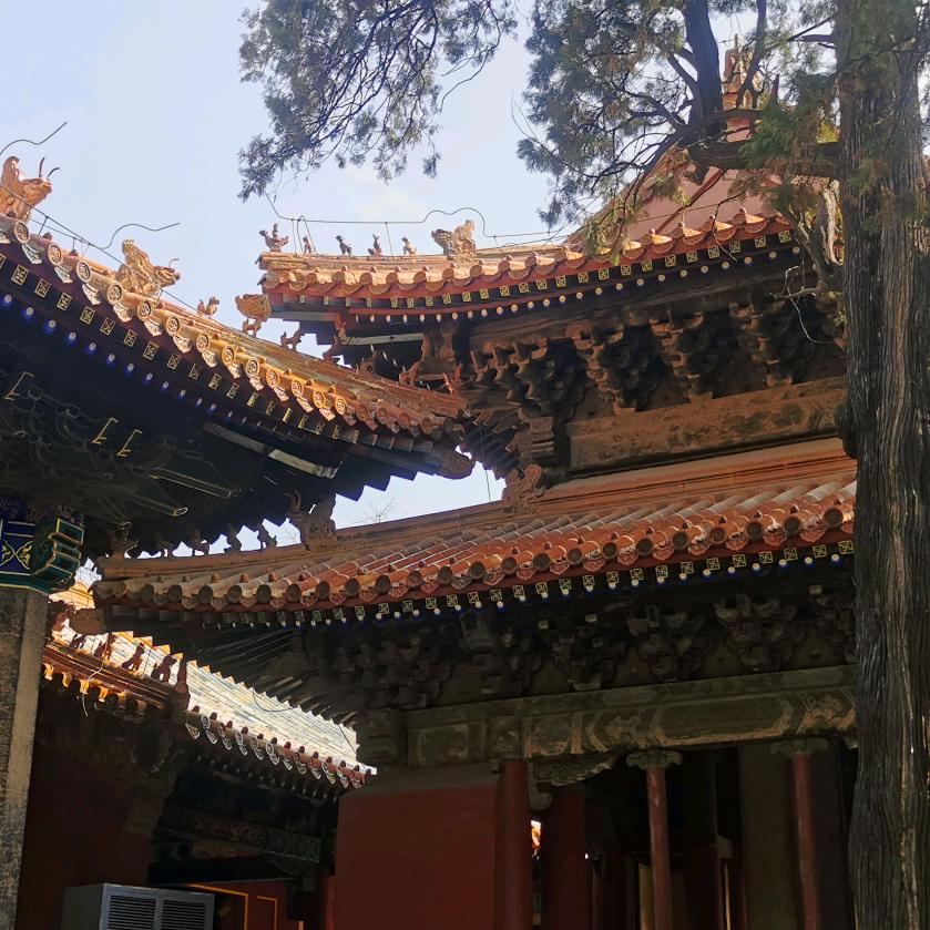 钢材.树脂瓦  眼镜哥