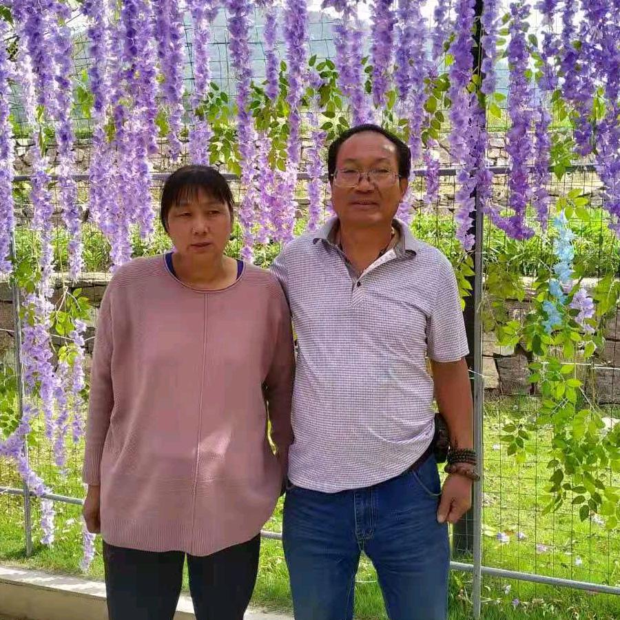 毛哥正能量