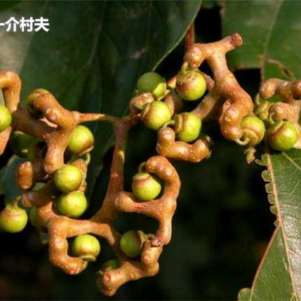 用户遇见