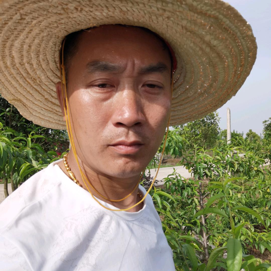 潢川天桥生态采摘园