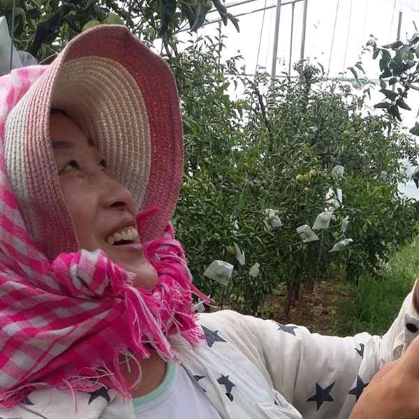 滨州市沾化区环环冬枣销售中心