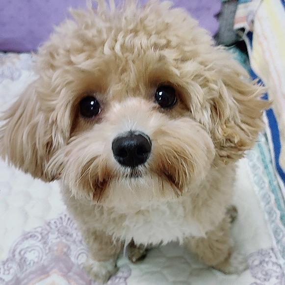 👉择善而行