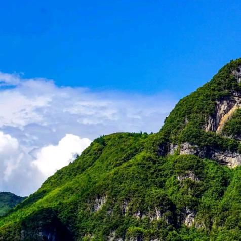 陈心如意