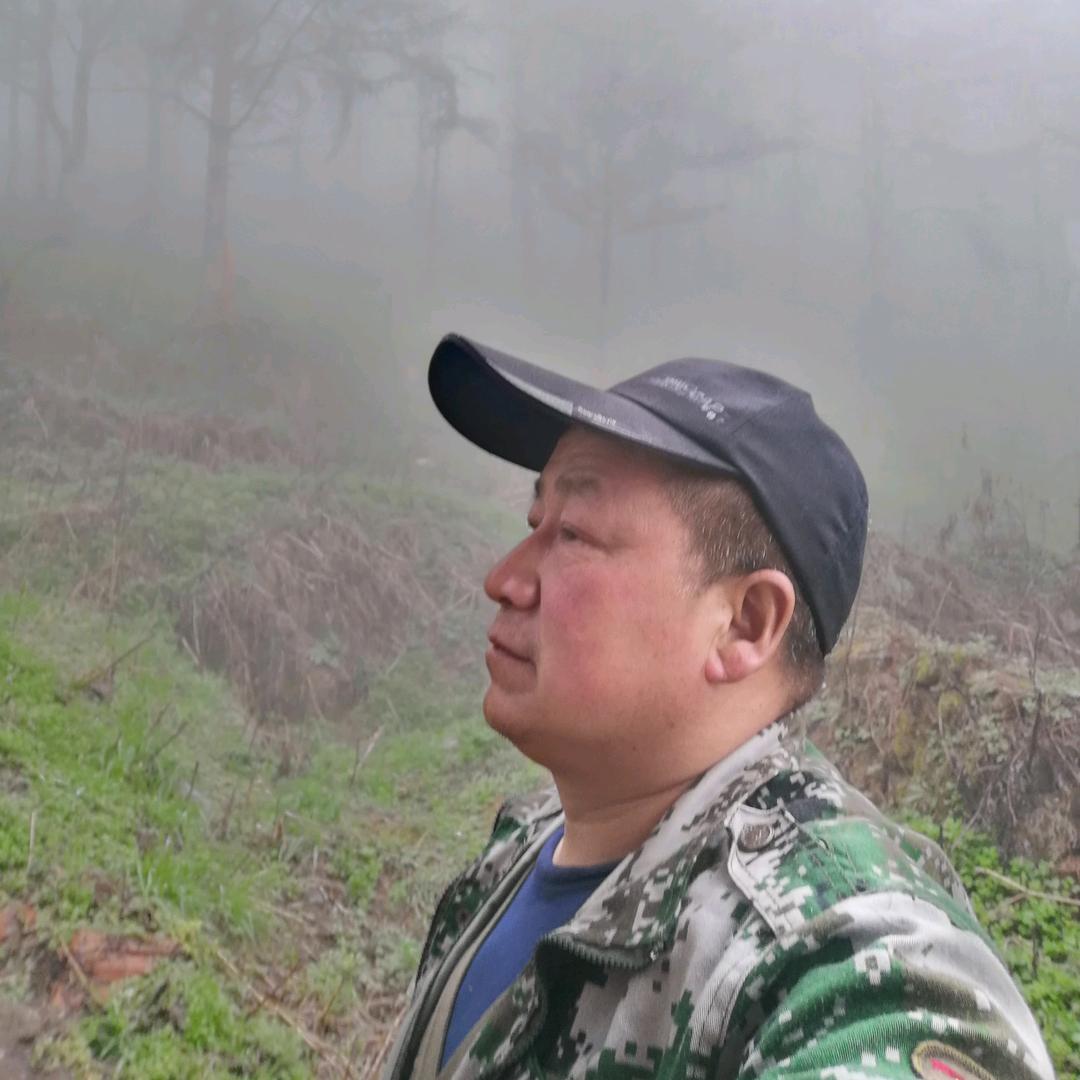 gaoShan牧人