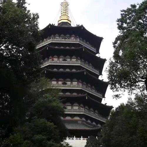 断了翅的小小鸟