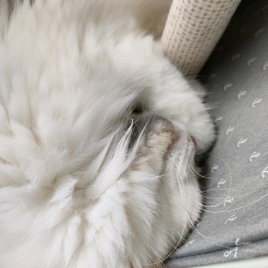 米烊(见过南⁵纬²弘石²恩九版)