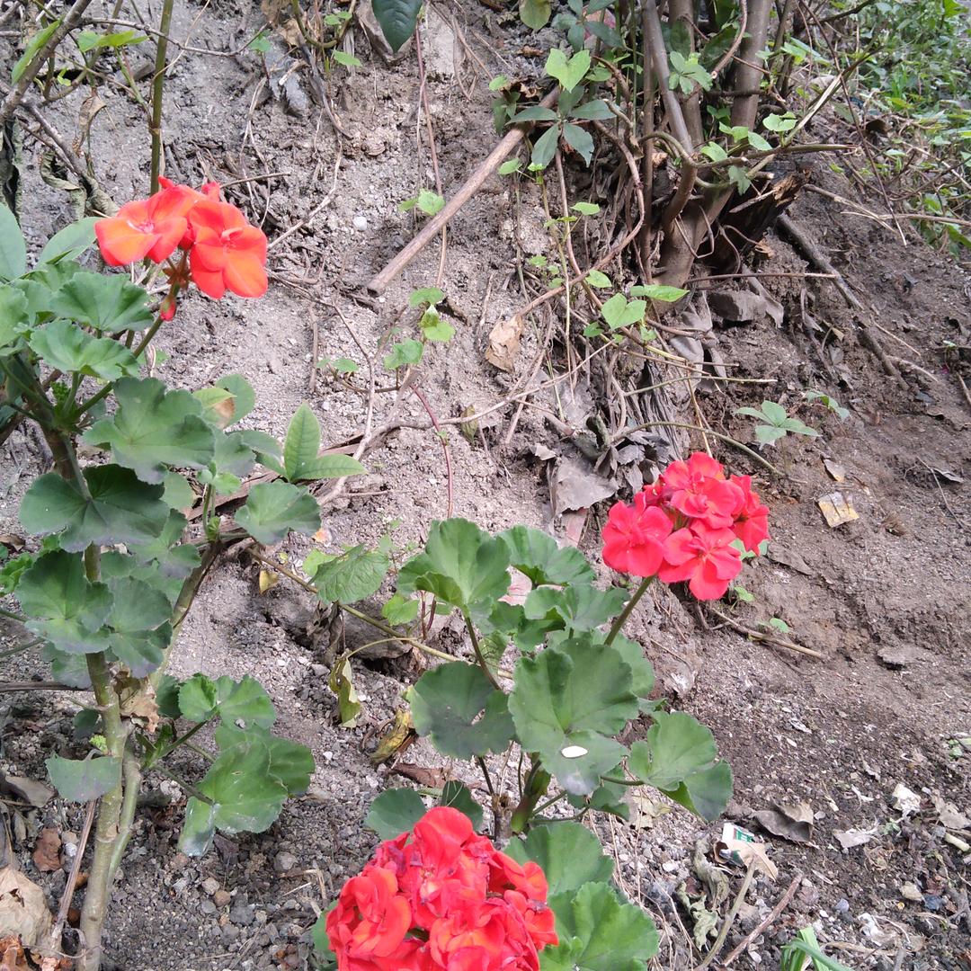 卜一/`7一尹会=千