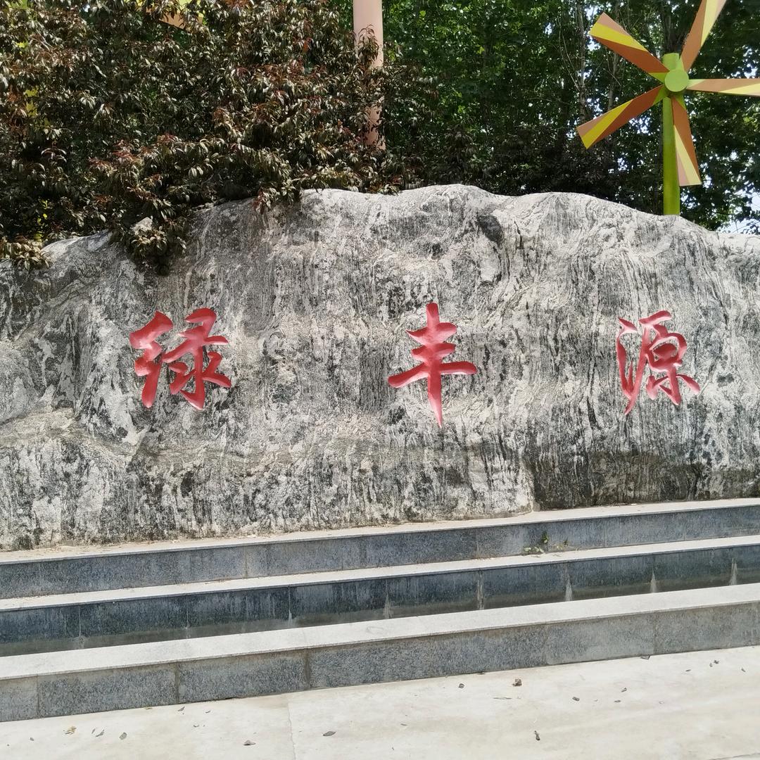 陈仓区绿丰源蔬果合作社