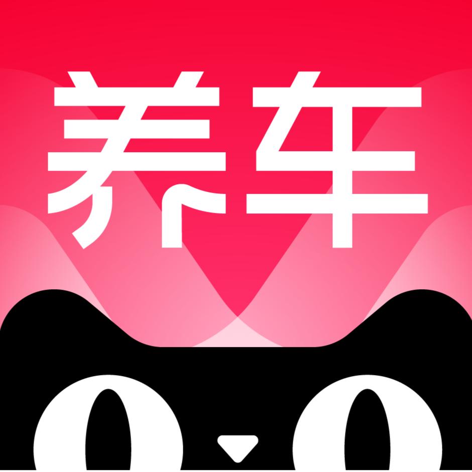 天猫养车