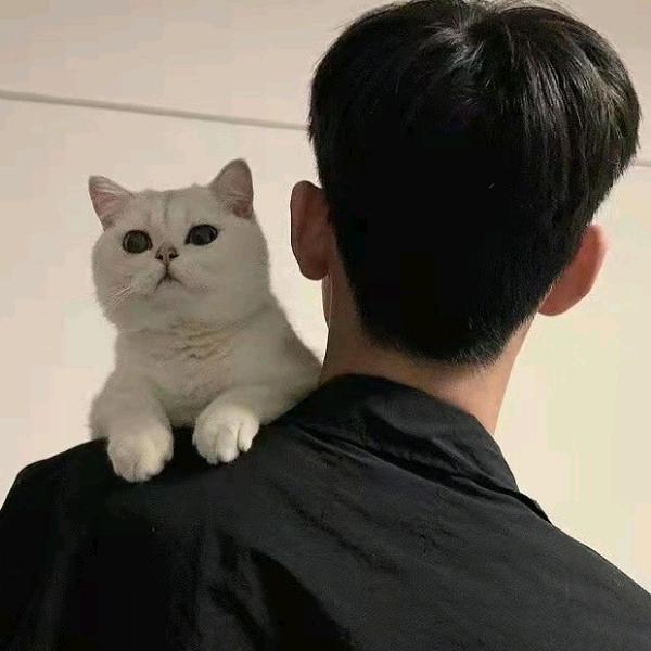 奶茶
