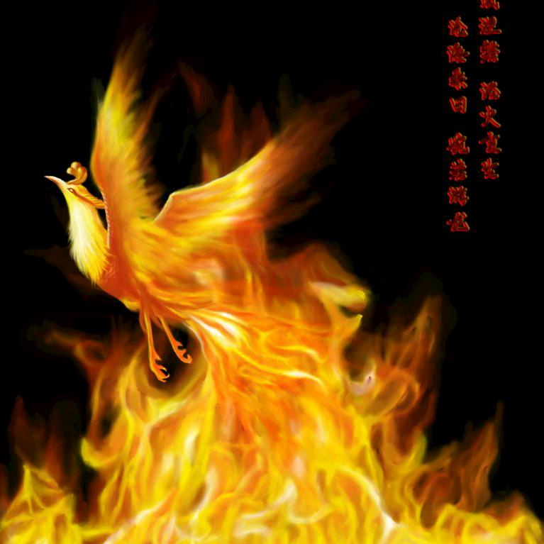 轻秋馆