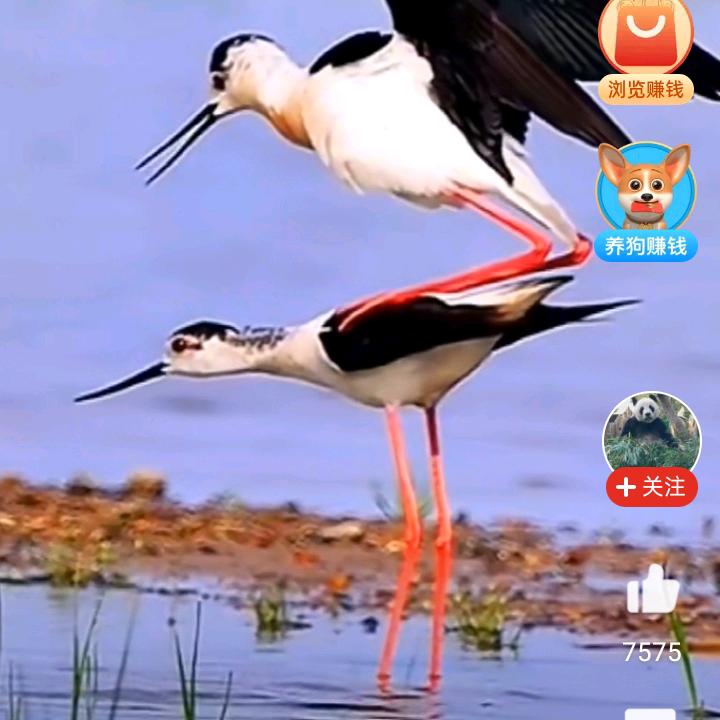 用户1289082677411