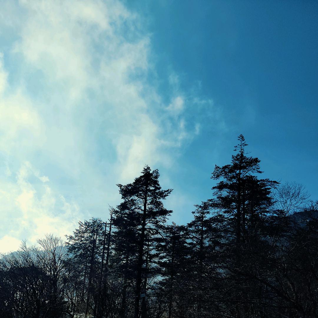 远方的风景