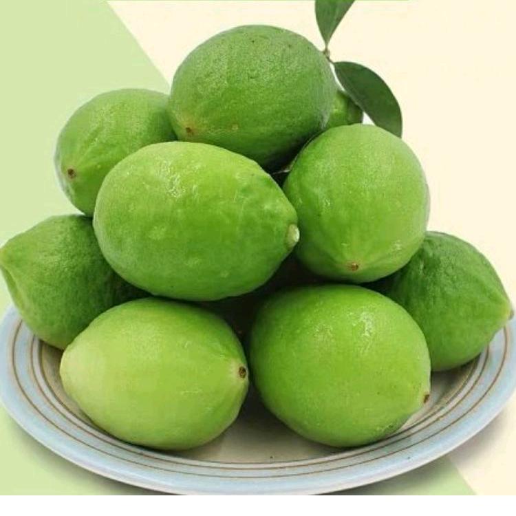 江夏堂-兴柠果业