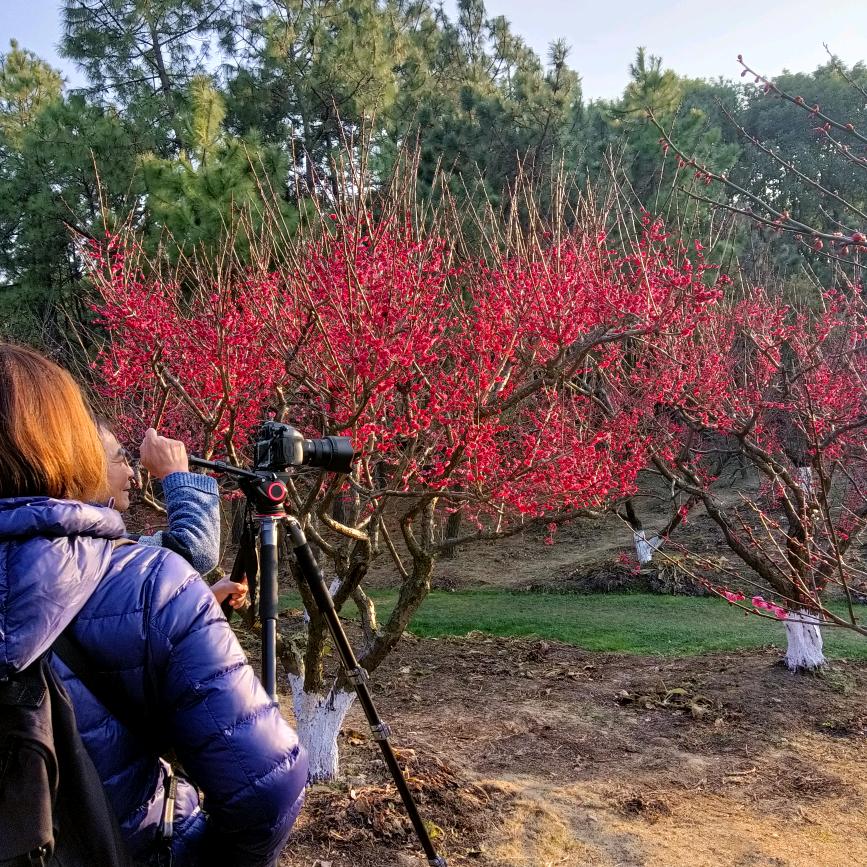 面对生活，做好自己