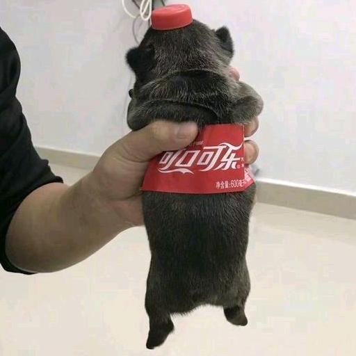 记得吃饭