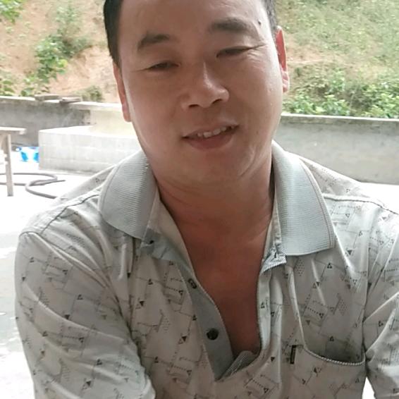 秦九