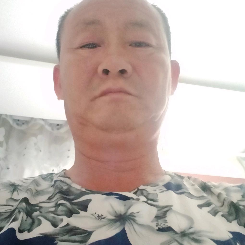 沙漠狼