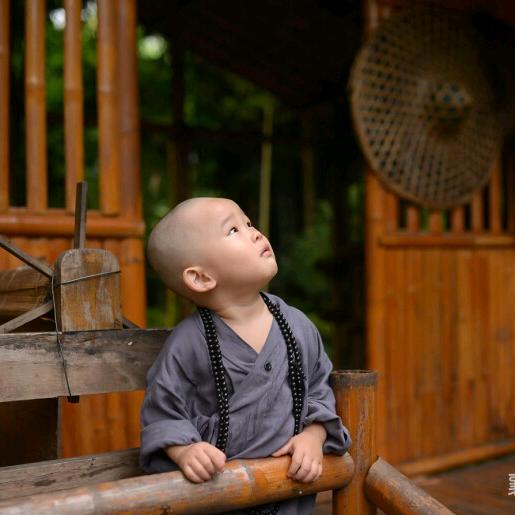 🙏🐘無忌🐘🙏（释本如）