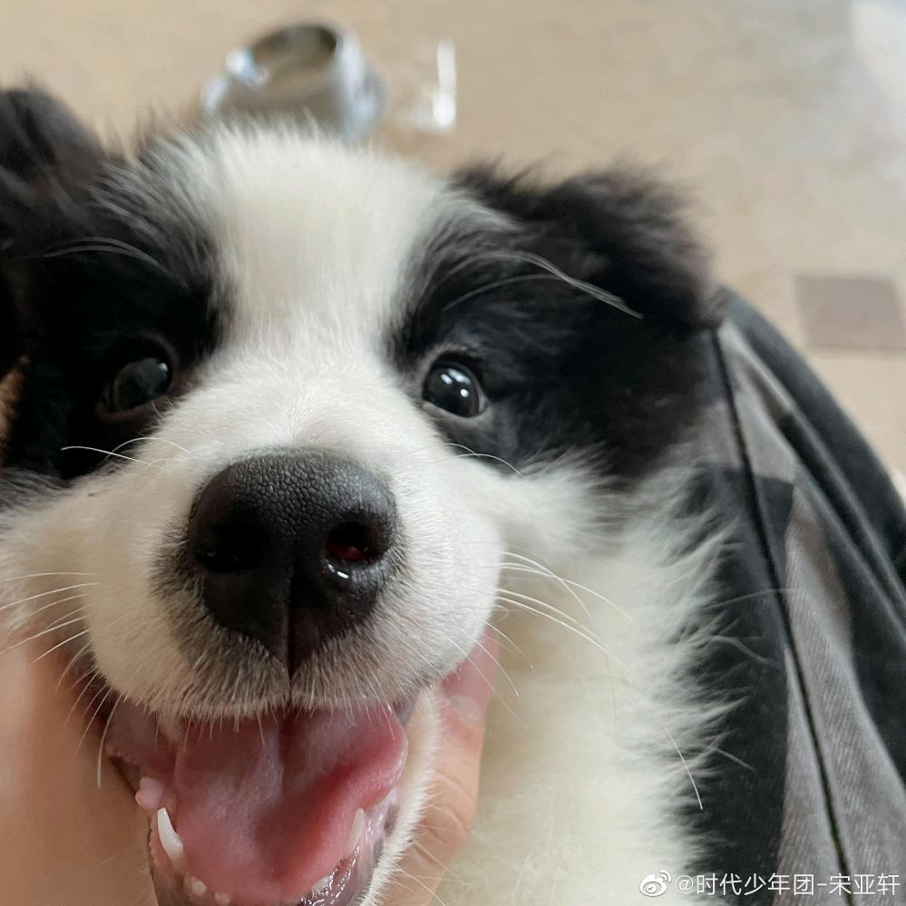 看超級月亮嗎🌈