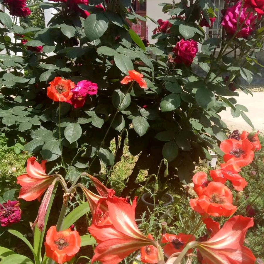 家人平安健康，就是幸福。