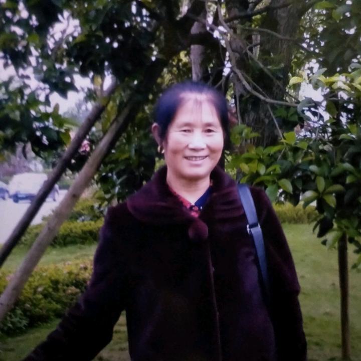 罗春梅