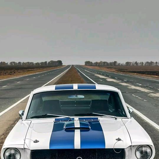 错过就别想重来