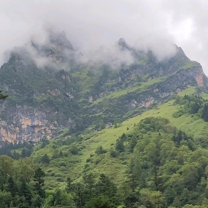 飞哥