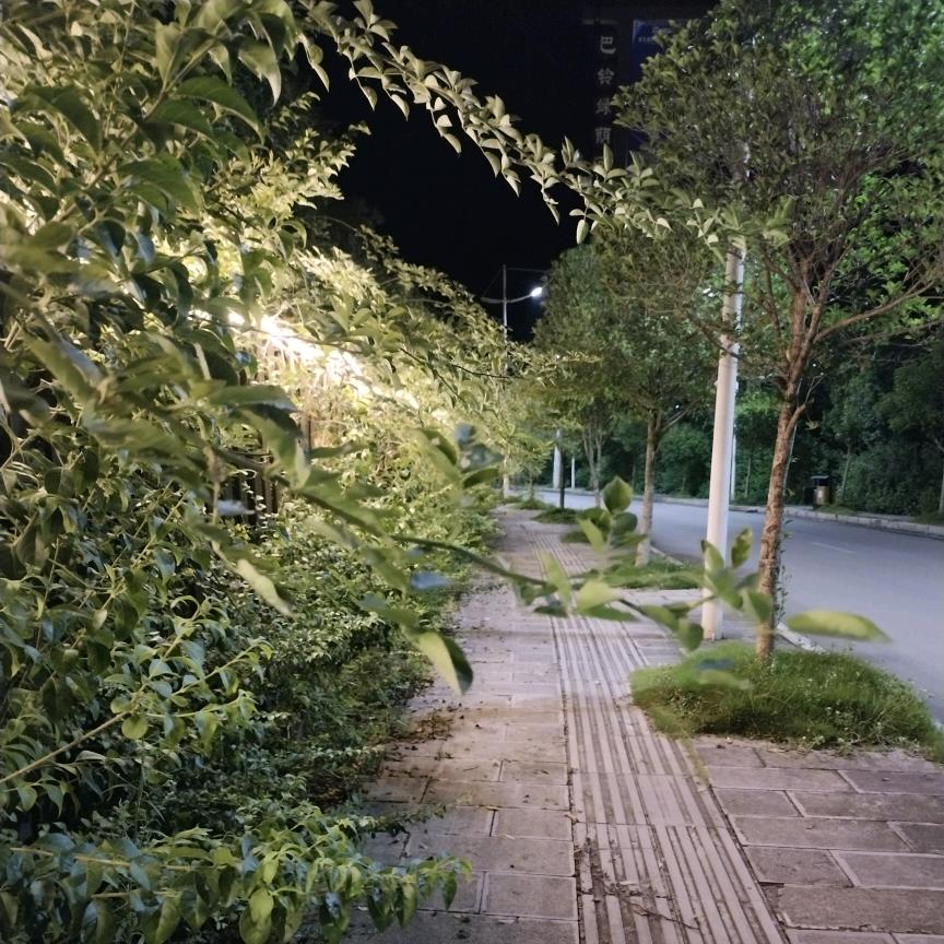 小鱼儿