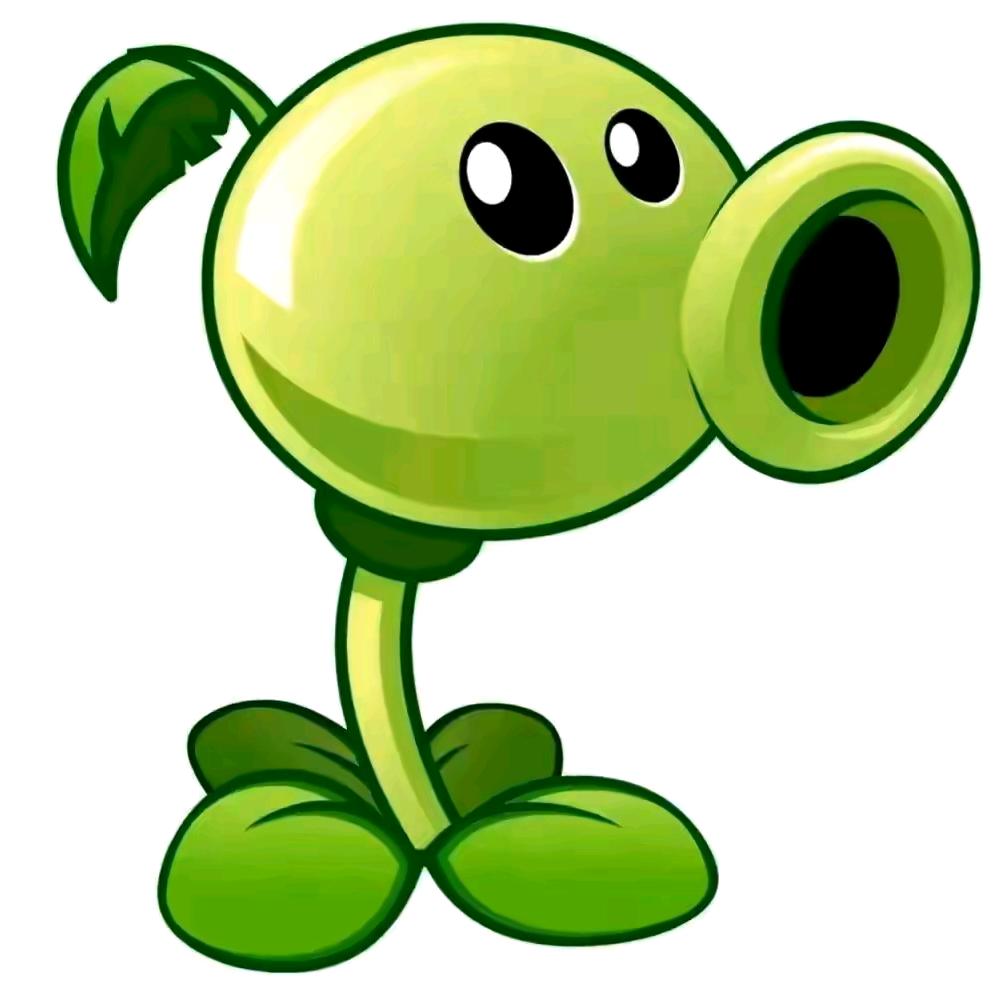 🟢🟢🟢🟢🟢