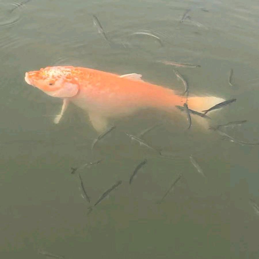 快乐成长每一天