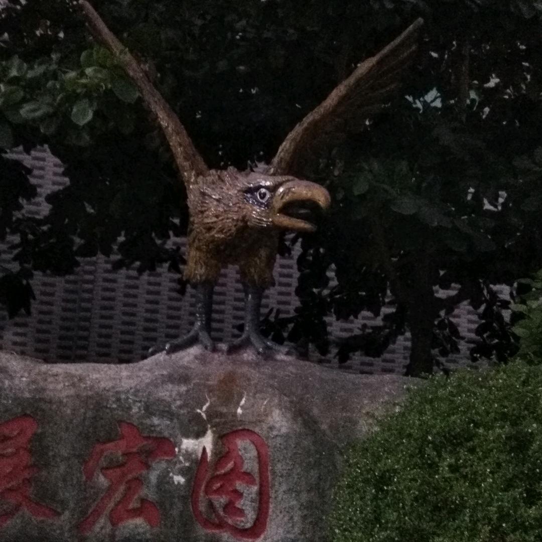 心情好。身体就健康。兄弟姐妹，我说的对吗