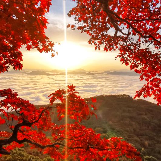 大牛沟村德宝农家院
