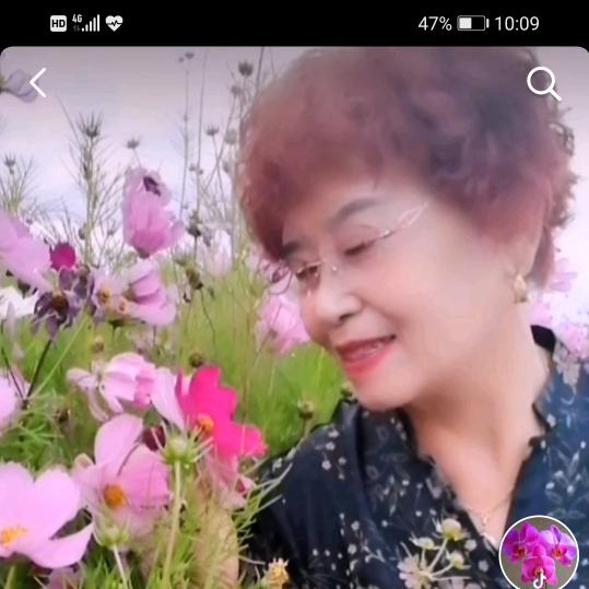 梅英《拒绝私聊》