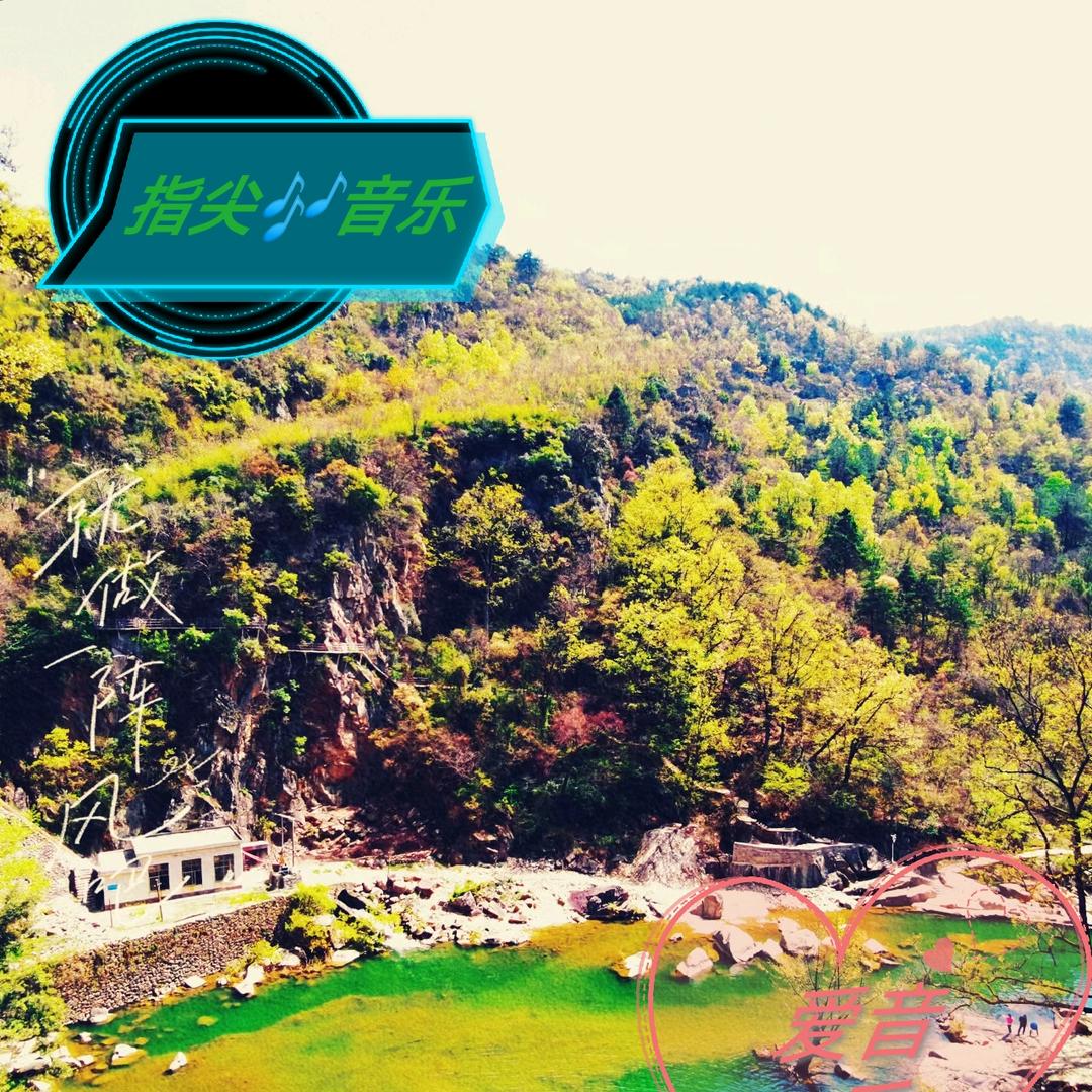 指尖🎶音乐
