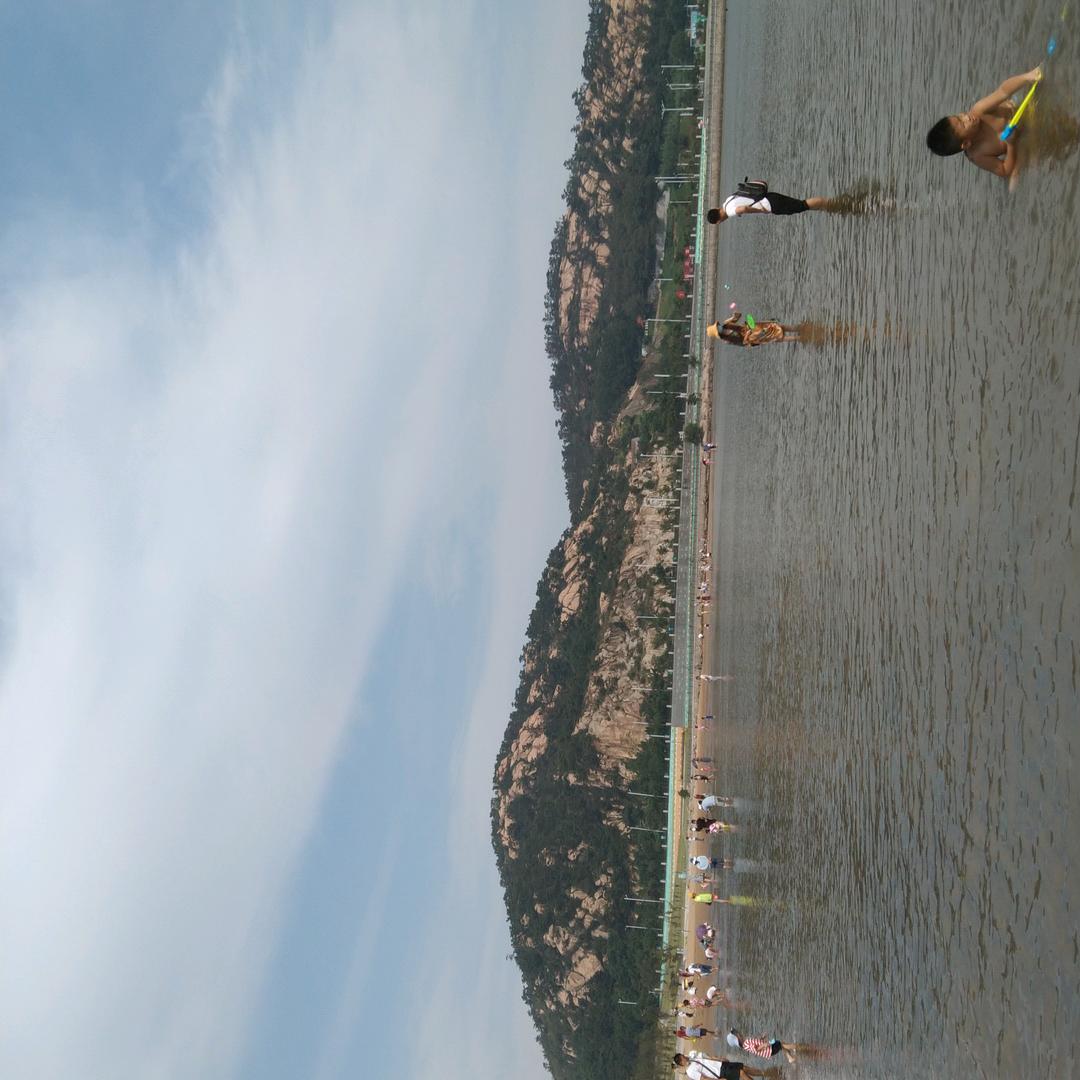 骷髅爱看电视剧