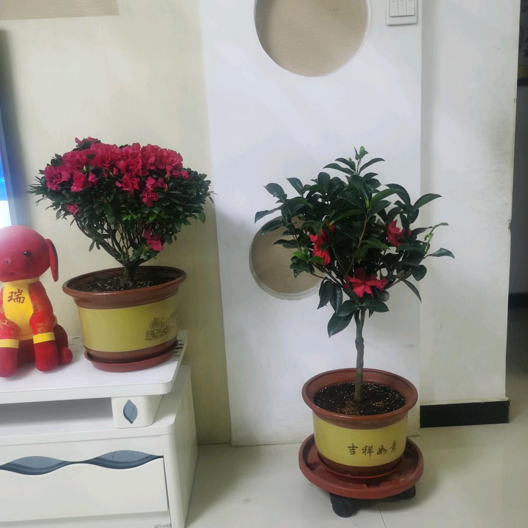 顺其自然🍎🍎🍎🍎🍎🍎