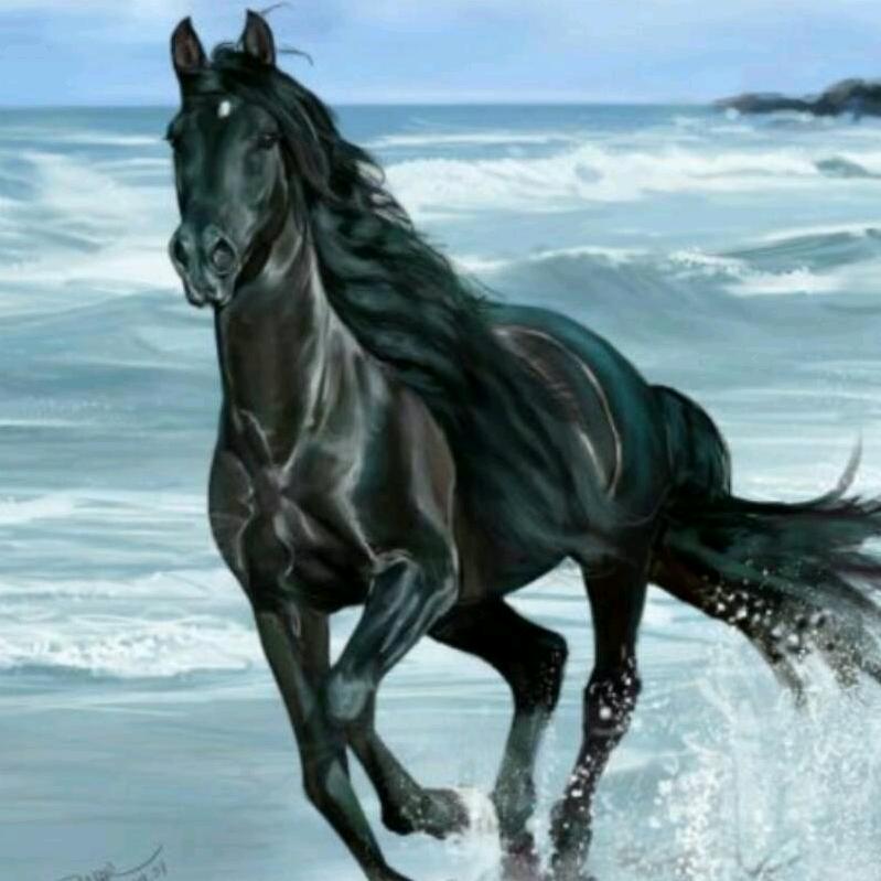 黑马🐴