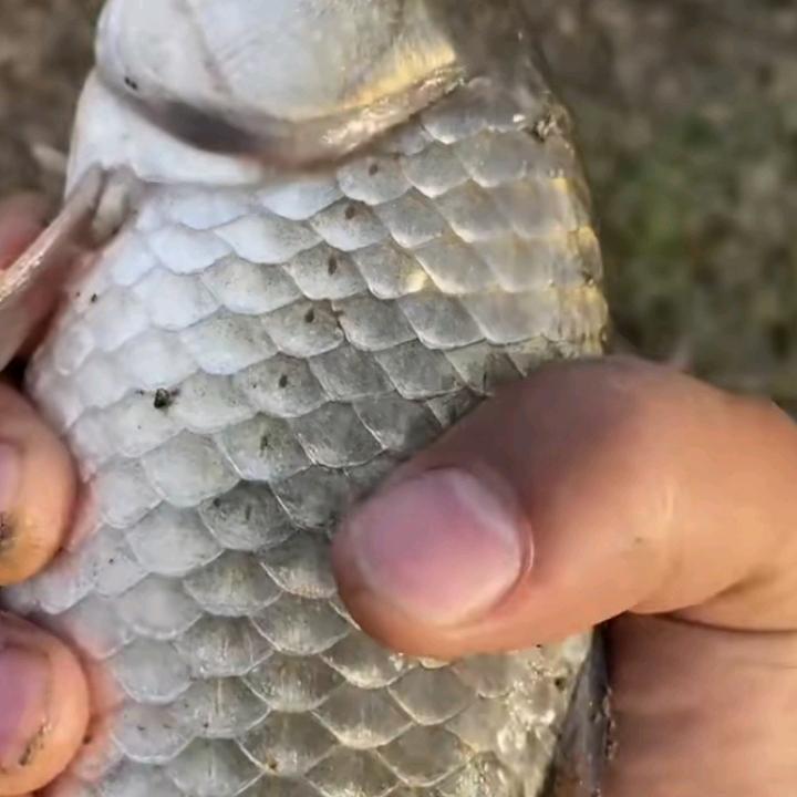 爱钱的人
