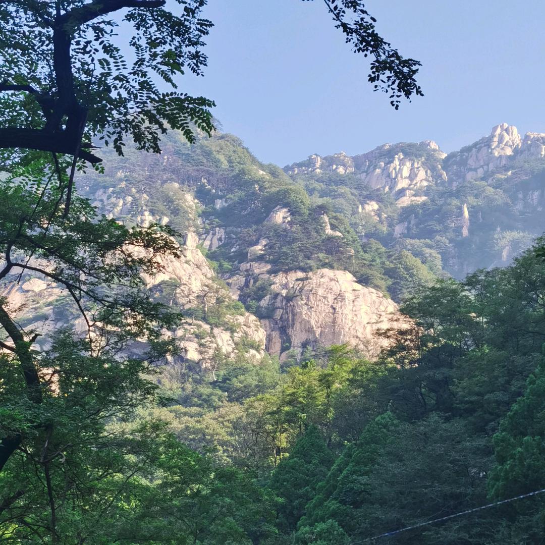 🔥感今怀昔🐝☀️