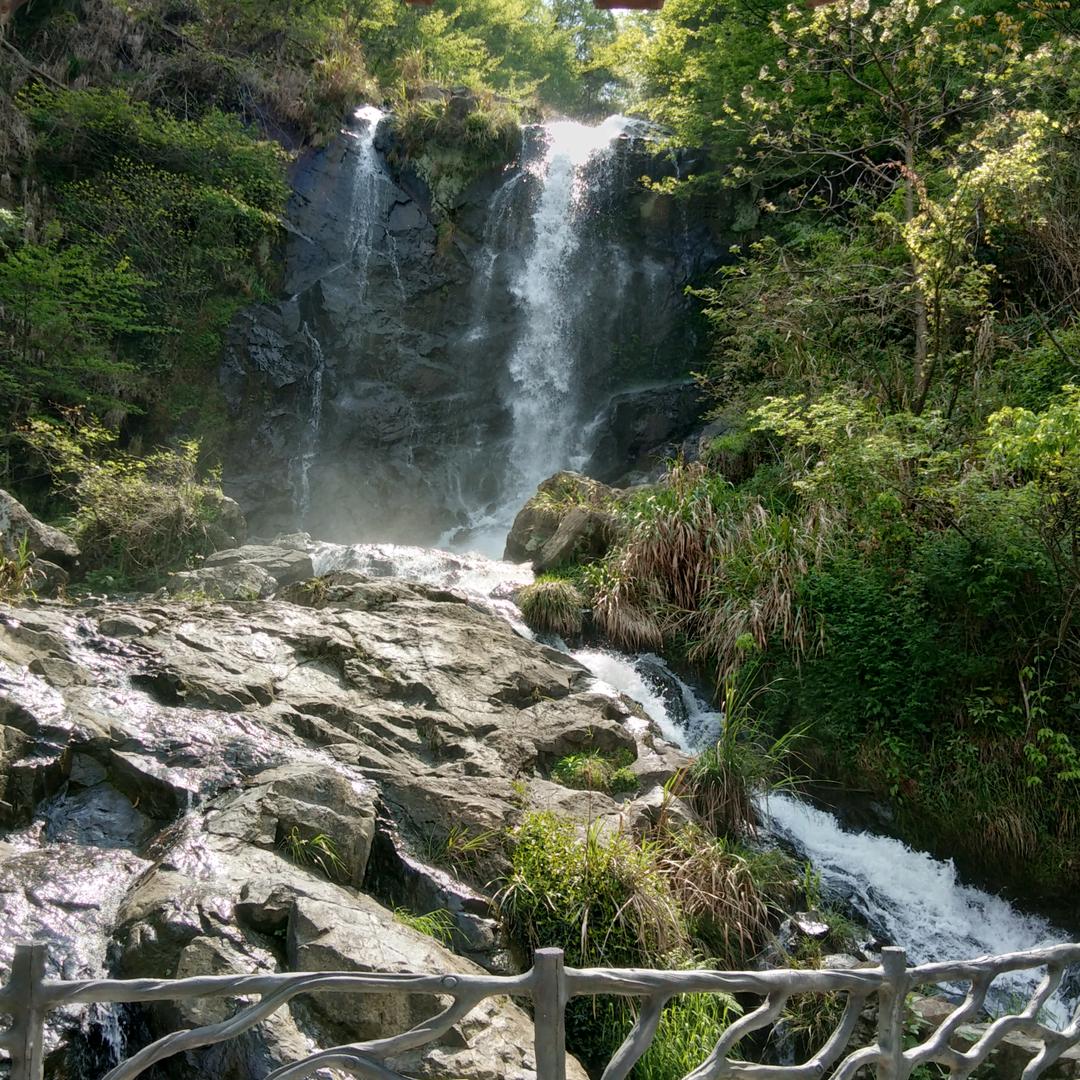 (*๓´╰╯`๓)💕王✨💖💞🐎