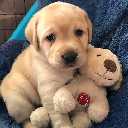 🐠想去大海的鱼🐠